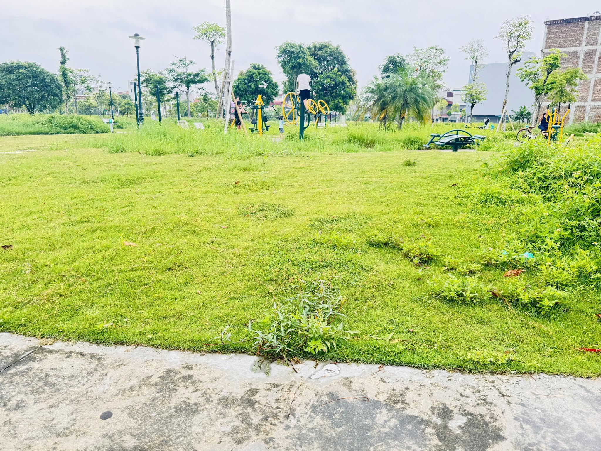Bản chất của Lộ Trình Tâm Bát Tà Đạo Là