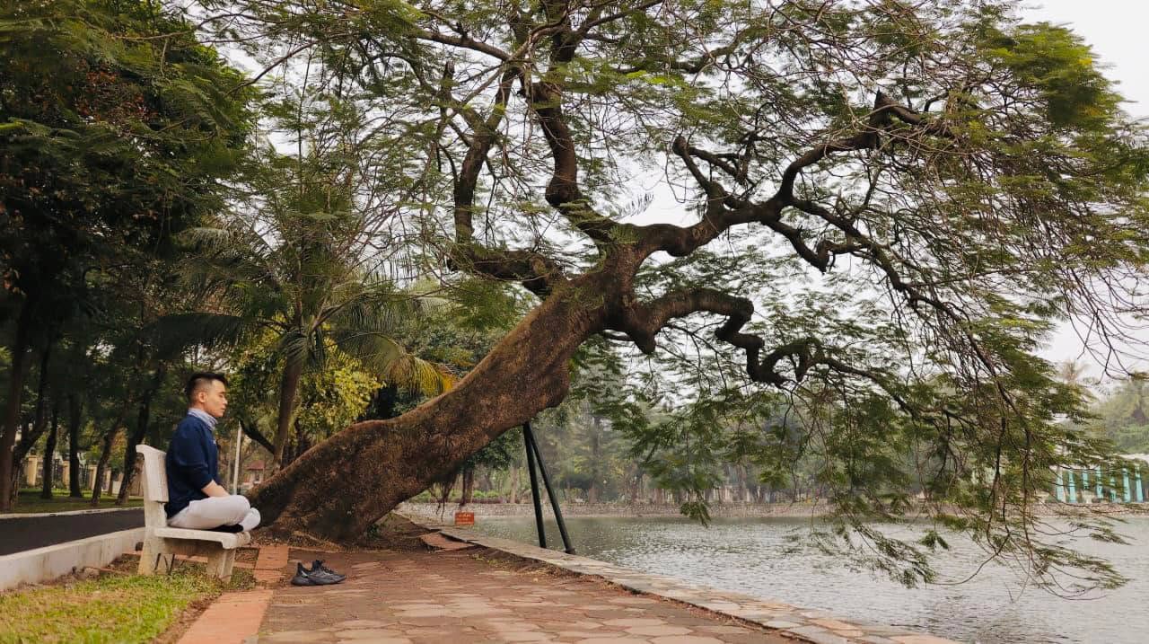 Chiêm nghiệm bát chánh đạo