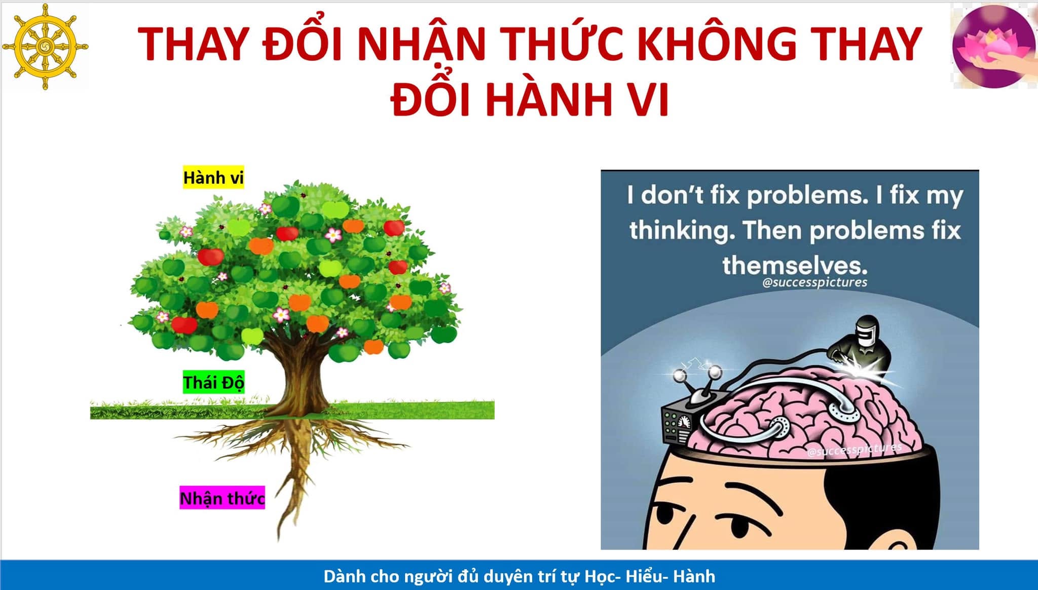 Làm sao để thoát khỏi tư tưởng trách móc, đổ lỗi, quy trách nhiệm ?