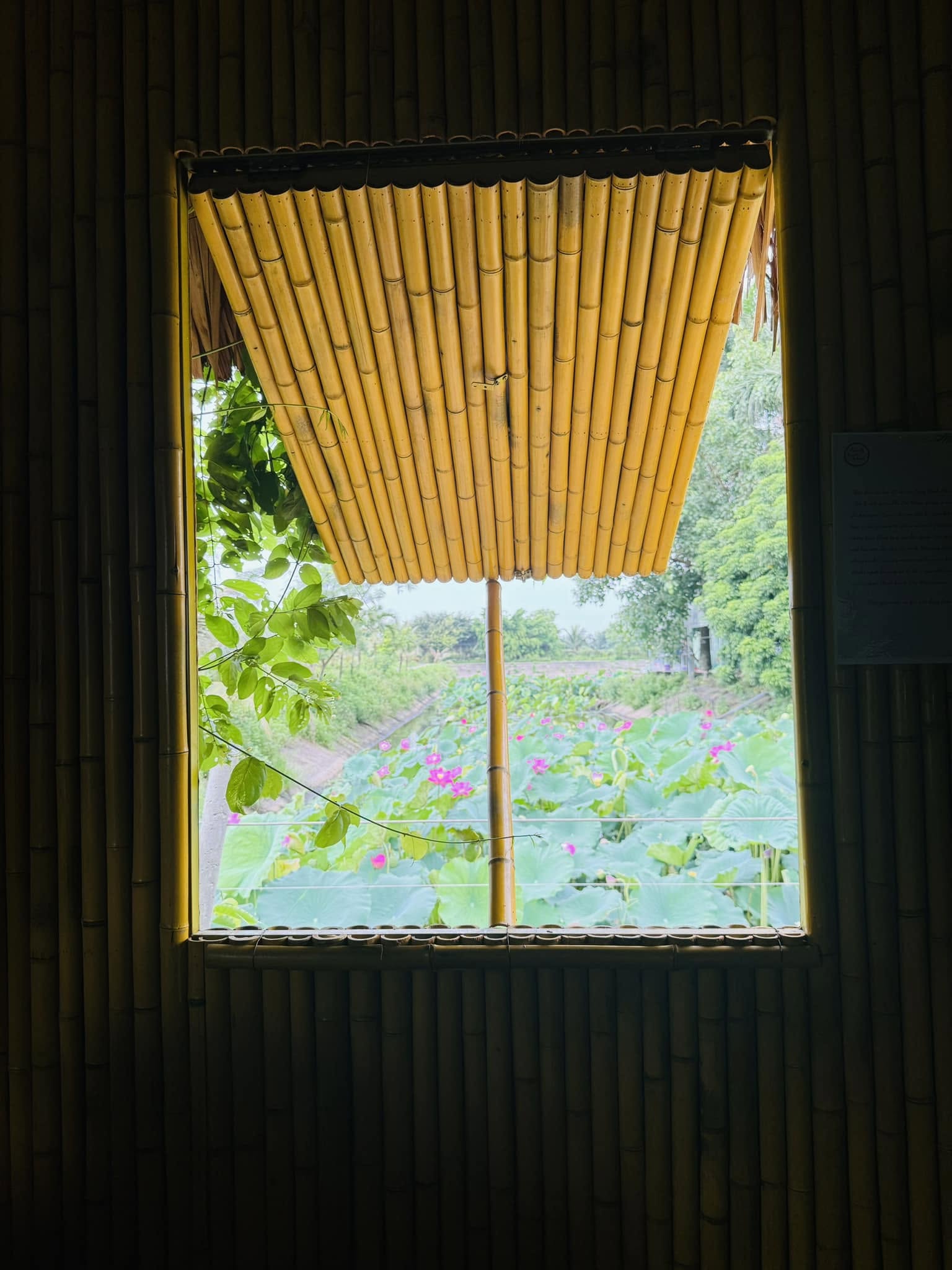 Lửa thì Gần mà Nước lại quá xa