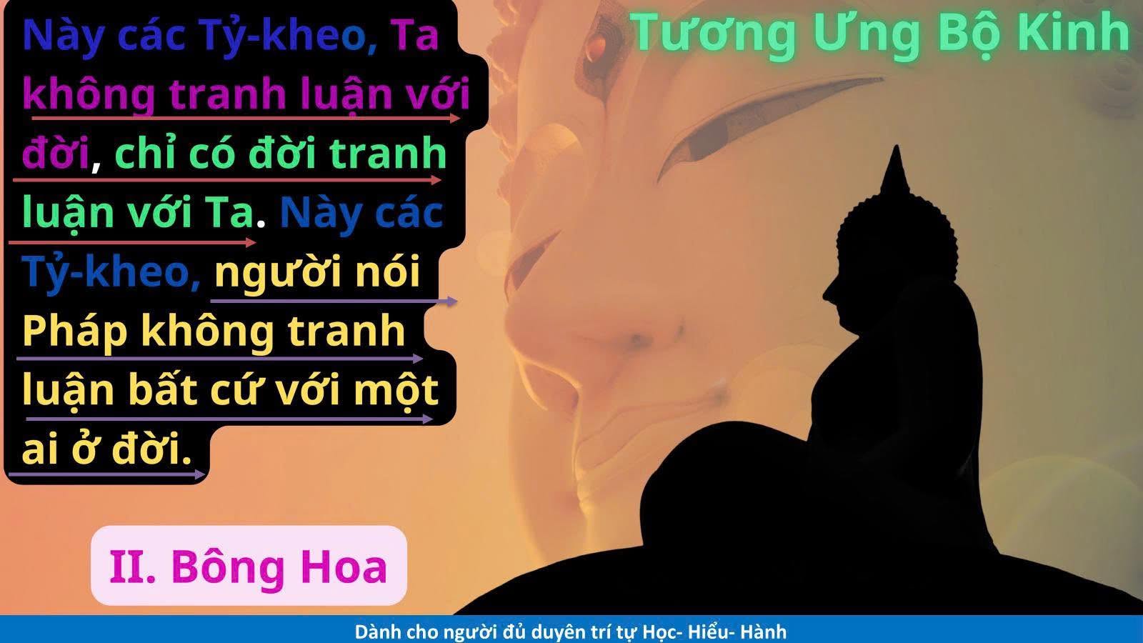 Người nói pháp không tranh luận với bất kỳ 1 ai ở đời