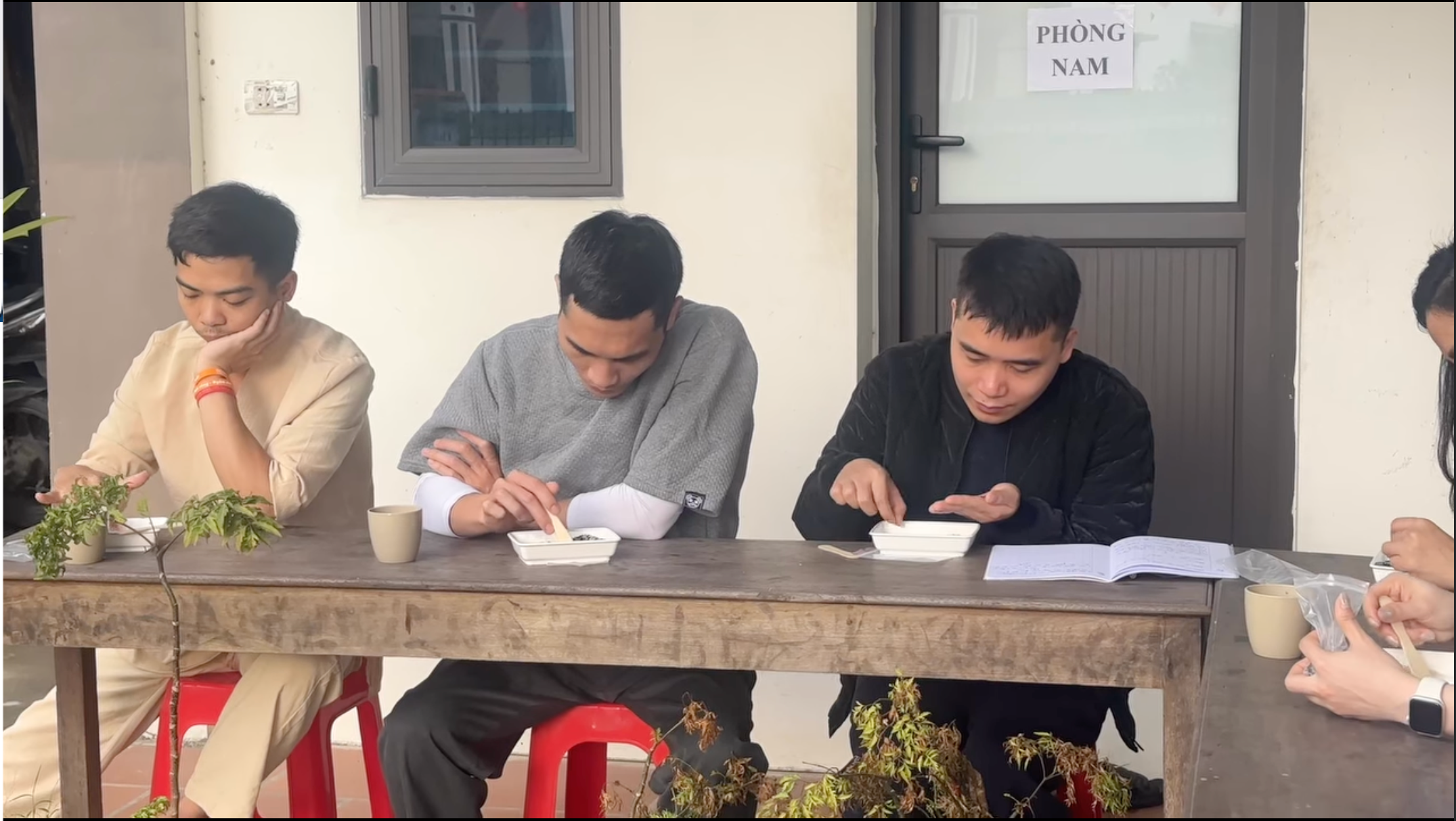 Nhặt Thóc Đen ra Đen – Trắng Ra Trắng Vắng Khổ mà Hiệu Quả