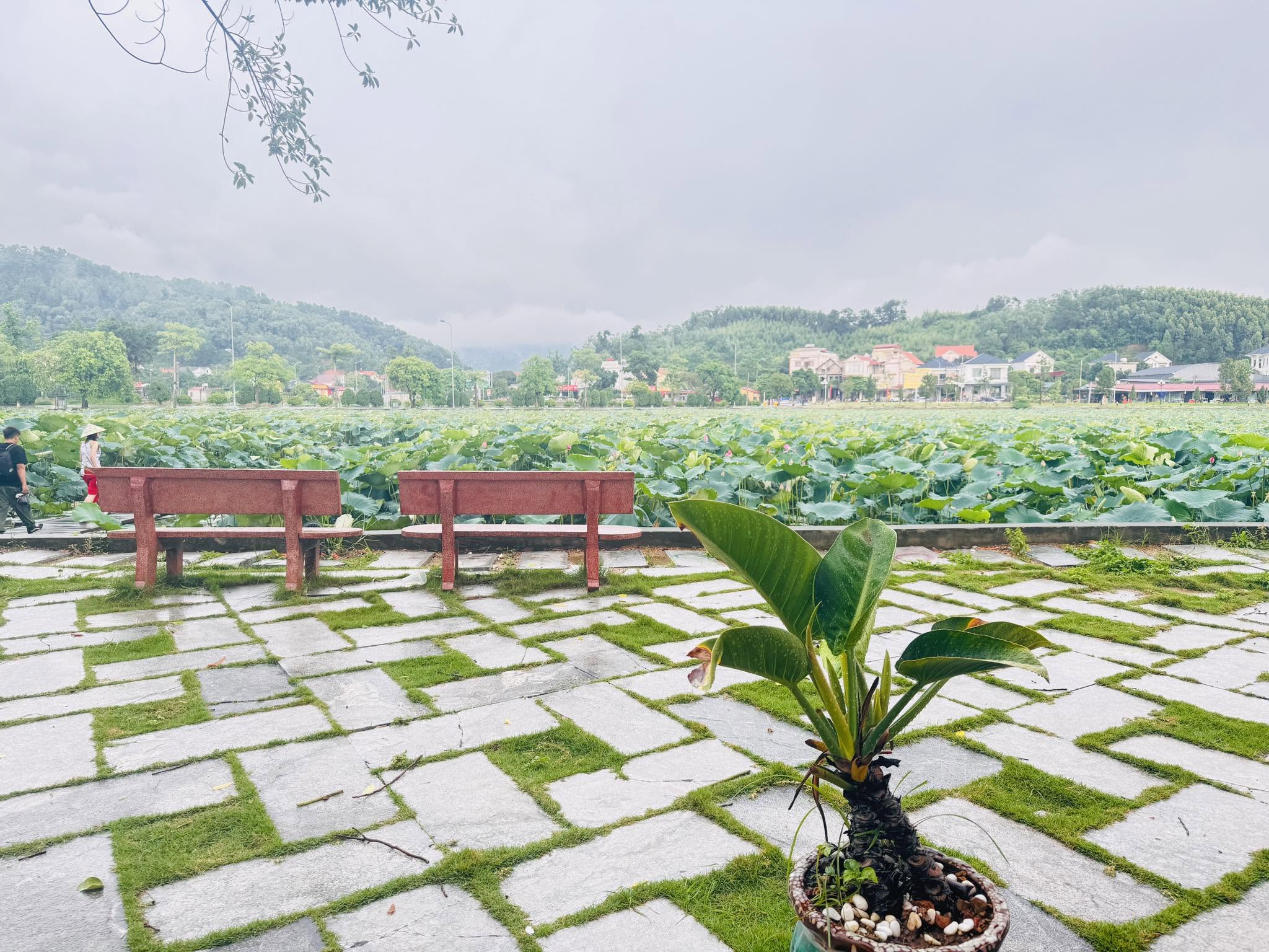 Những Pháp nào không phải lời dạy của Đức Phật
