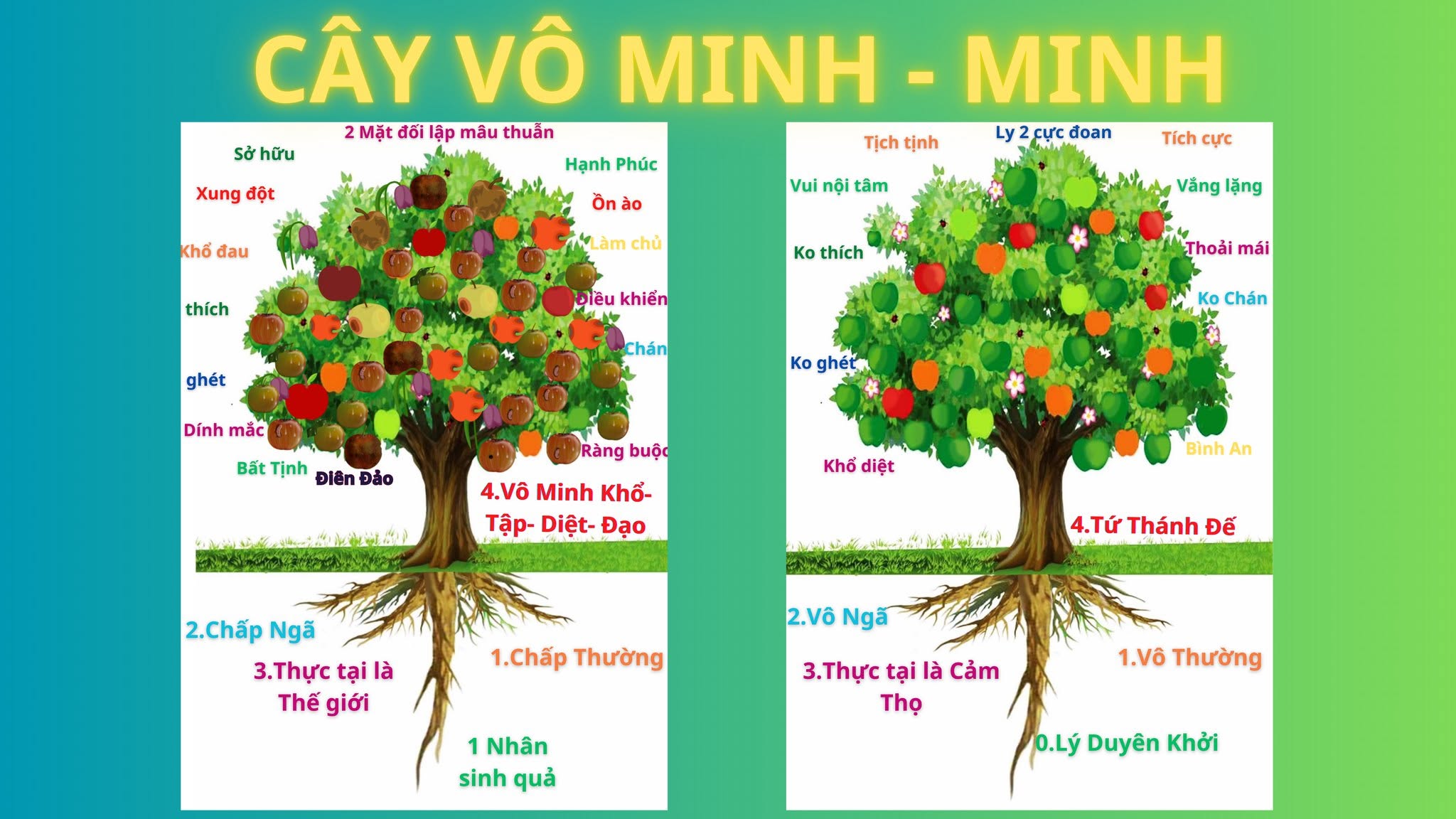 Vì sao Định thuần thục, toàn vào Tam- Tứ Thiền, nhưng đụng chuyện hay Sân ?
