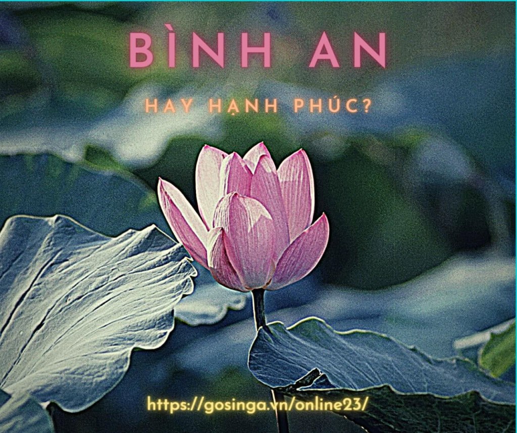 Chúng ta thực sự cần Hạnh Phúc hay Bình An?