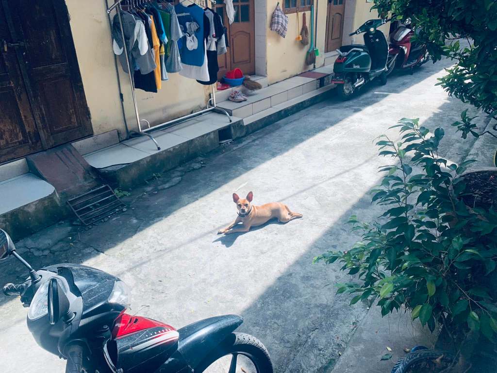 Có 3 Bên tranh luận không hồi kết, bên nào cũng cho mình đúng