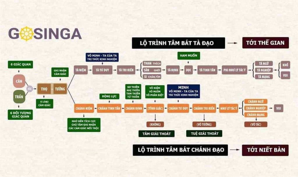 Không có mong muốn tìm cầu sự thật đến tận cùng thì không nên đọc