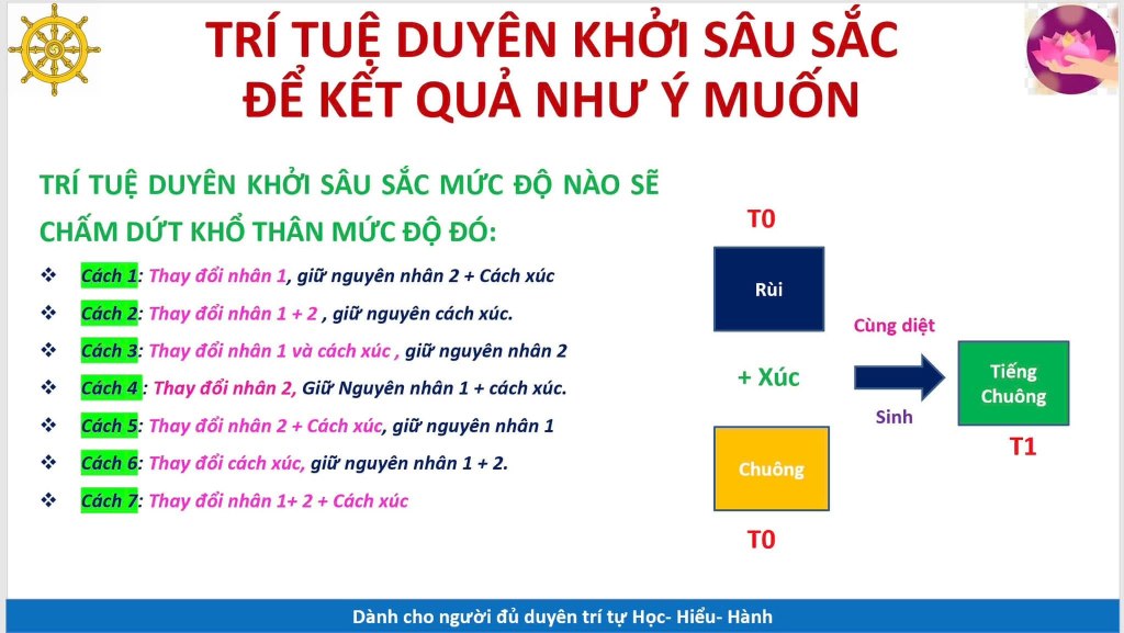 Làm tốt việc của mình, không xen vào việc của người khác, không lo việc của trời đất
