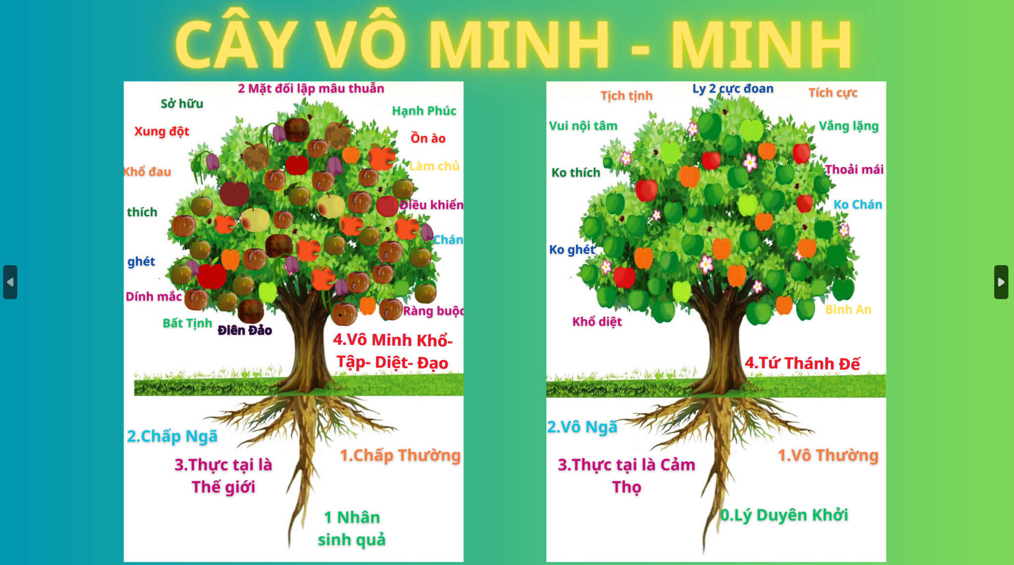 Những khám phá đặc biệt của Đức Phật