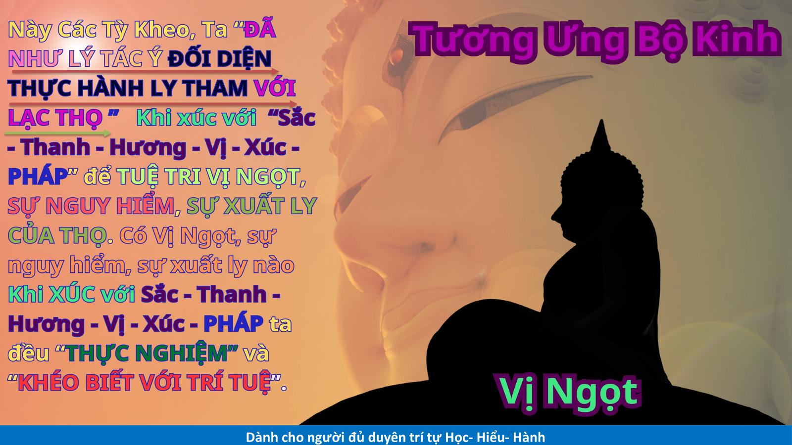 Từ học bơi đứng nước cho đến thực hành ly tham với vị ngọt nơi vị ngọt