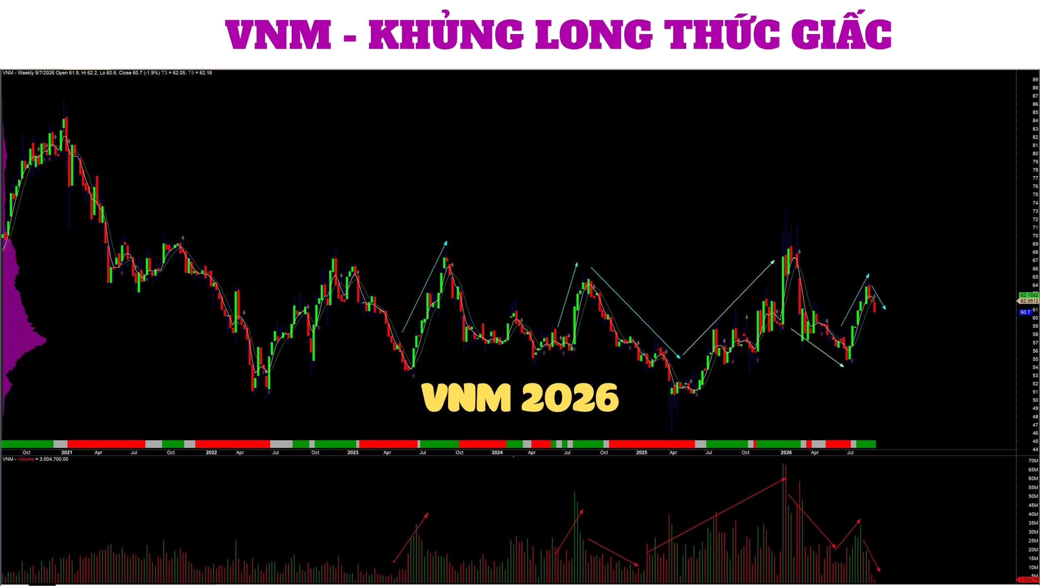 VNM – Cơ Hội Đầu Tư Trên Thị Trường Chứng Khoán Việt Nam